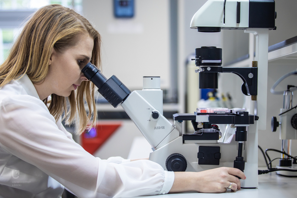 Biokompozyty grafika Biokompozyty grafika