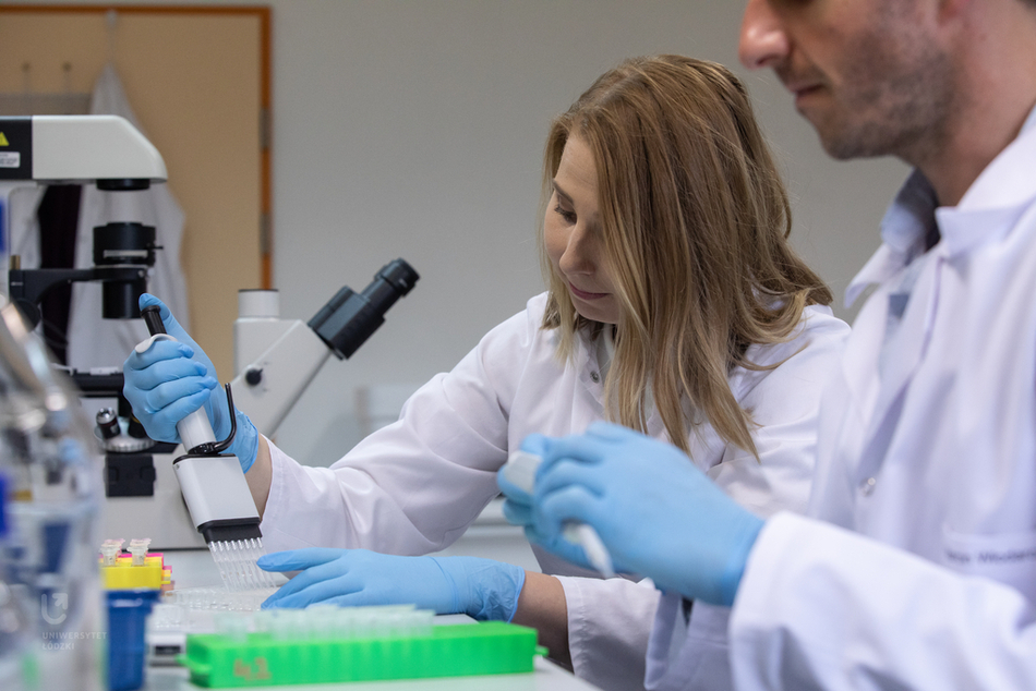 Biokompozyty grafika Biokompozyty grafika